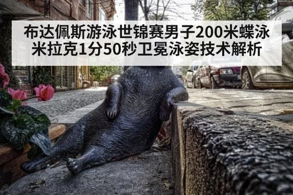 布达佩斯游泳世锦赛男子200米蝶泳米拉克1分50秒卫冕泳姿技术解析