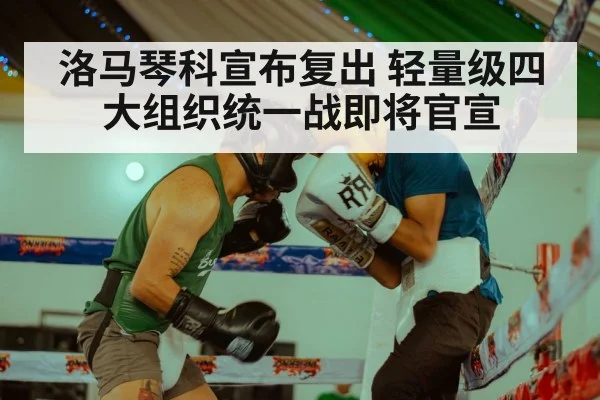 洛马琴科宣布复出 轻量级四大组织统一战即将官宣