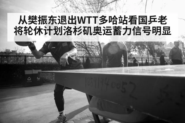 从樊振东退出WTT多哈站看国乒老将轮休计划洛杉矶奥运蓄力信号明显